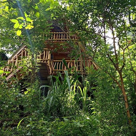Eco Village Ella Ngoại thất bức ảnh
