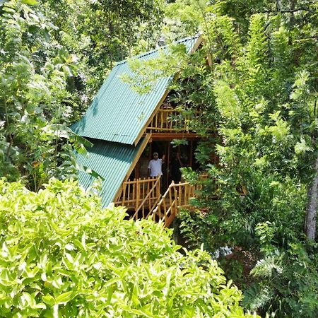 Eco Village Ella Ngoại thất bức ảnh