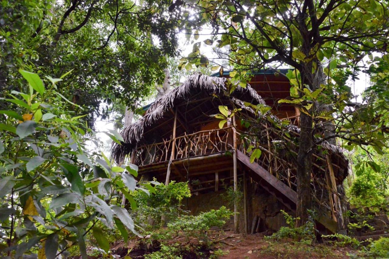 Eco Village Ella Ngoại thất bức ảnh