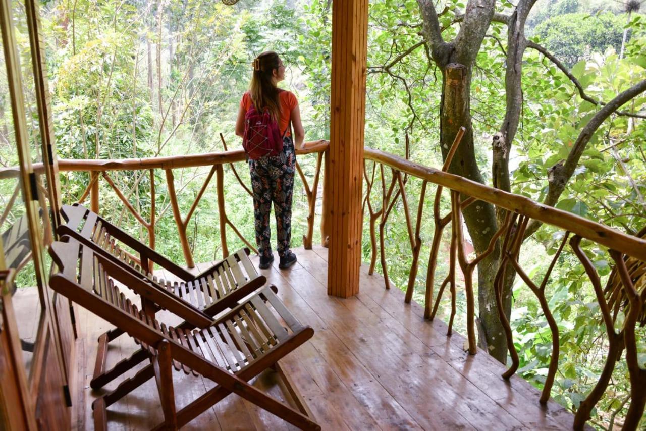 Eco Village Ella Ngoại thất bức ảnh