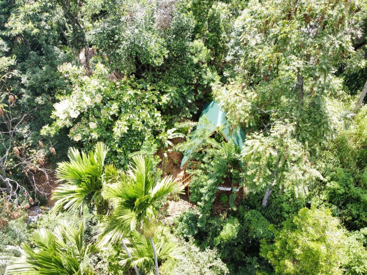 Eco Village Ella Ngoại thất bức ảnh