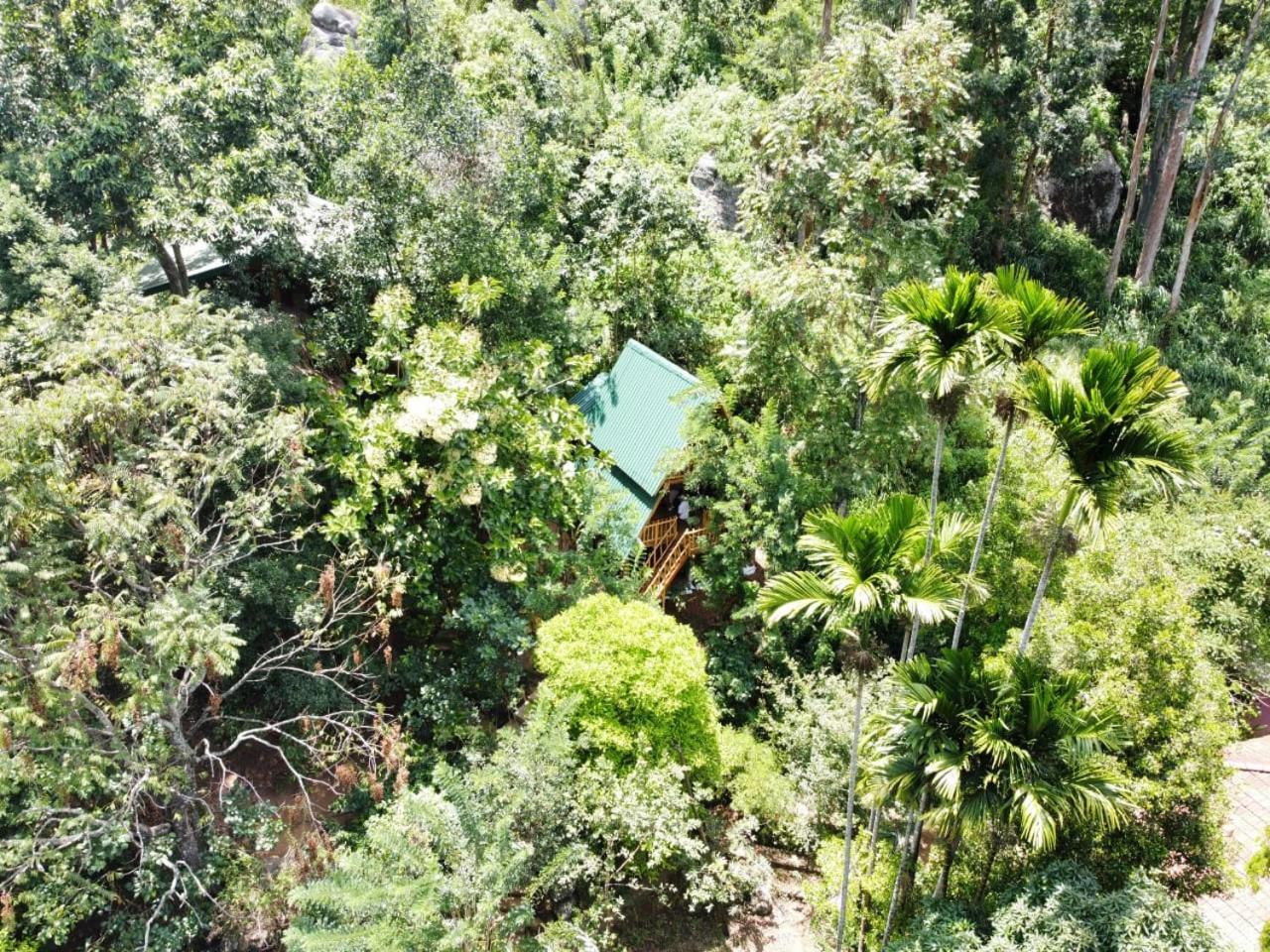 Eco Village Ella Ngoại thất bức ảnh