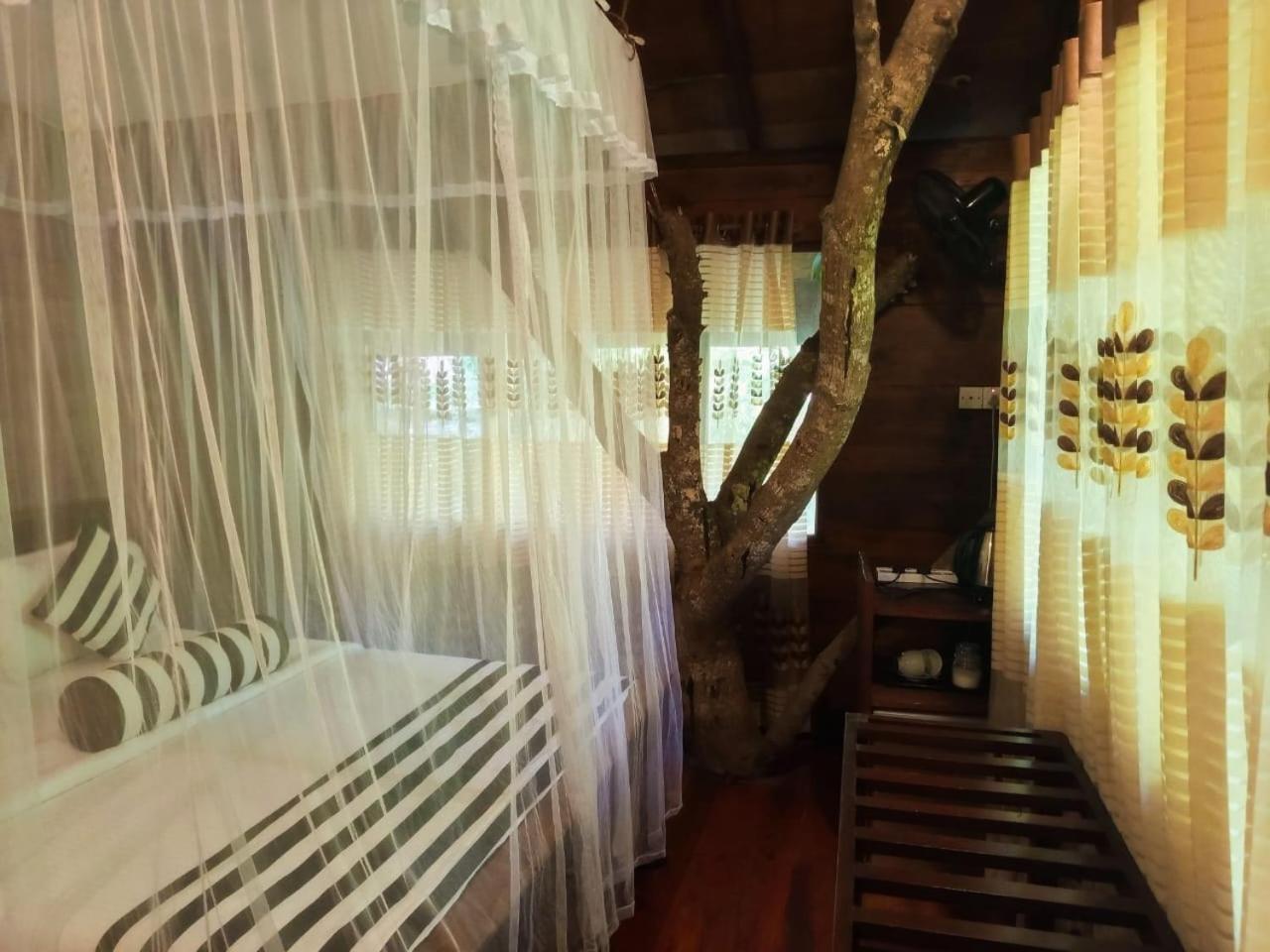 Eco Village Ella Ngoại thất bức ảnh