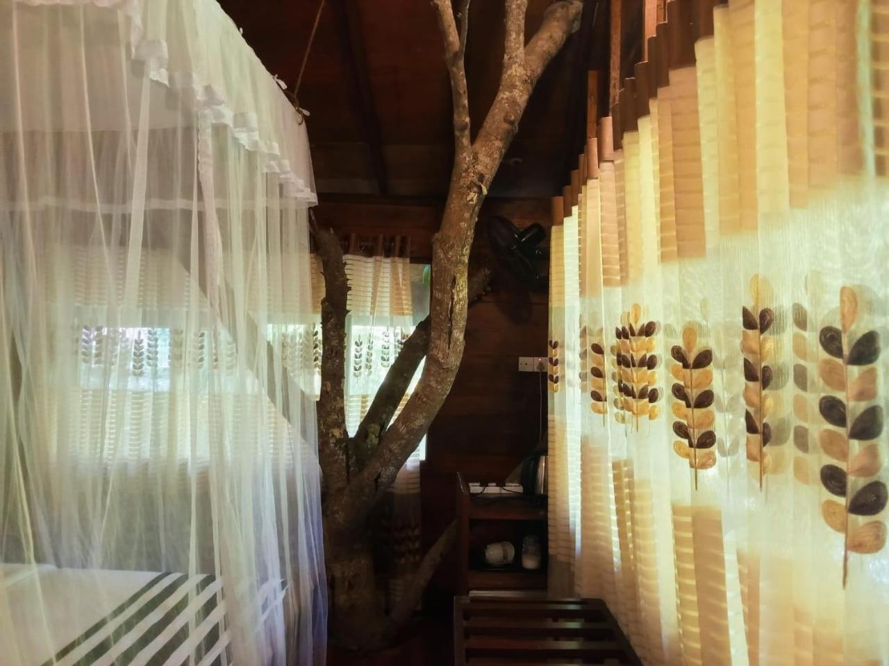 Eco Village Ella Ngoại thất bức ảnh