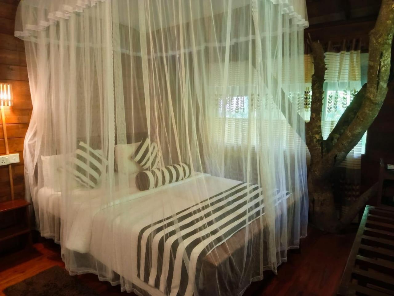 Eco Village Ella Ngoại thất bức ảnh