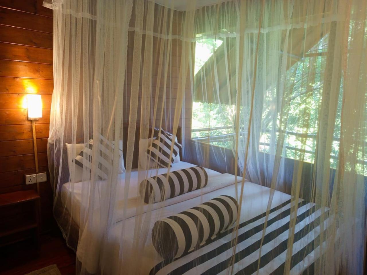 Eco Village Ella Ngoại thất bức ảnh